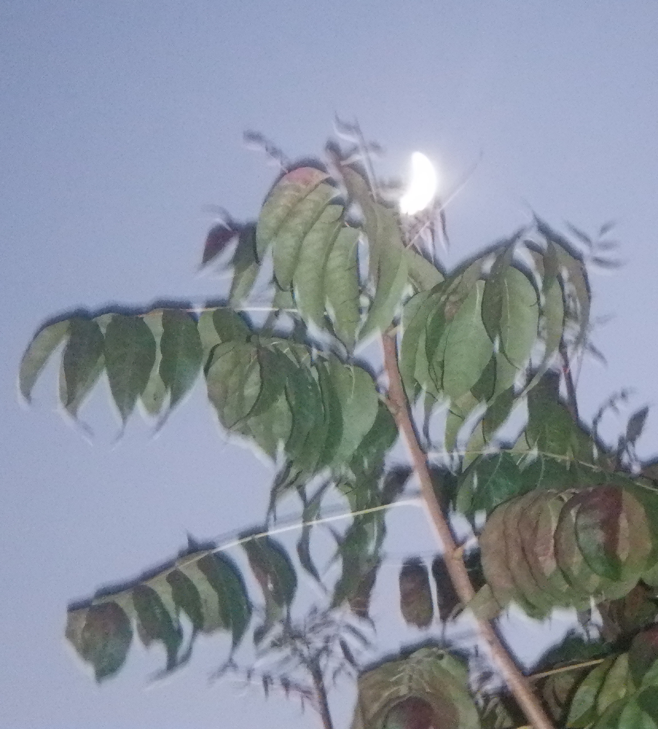 Photo taken by me Photo taken by me