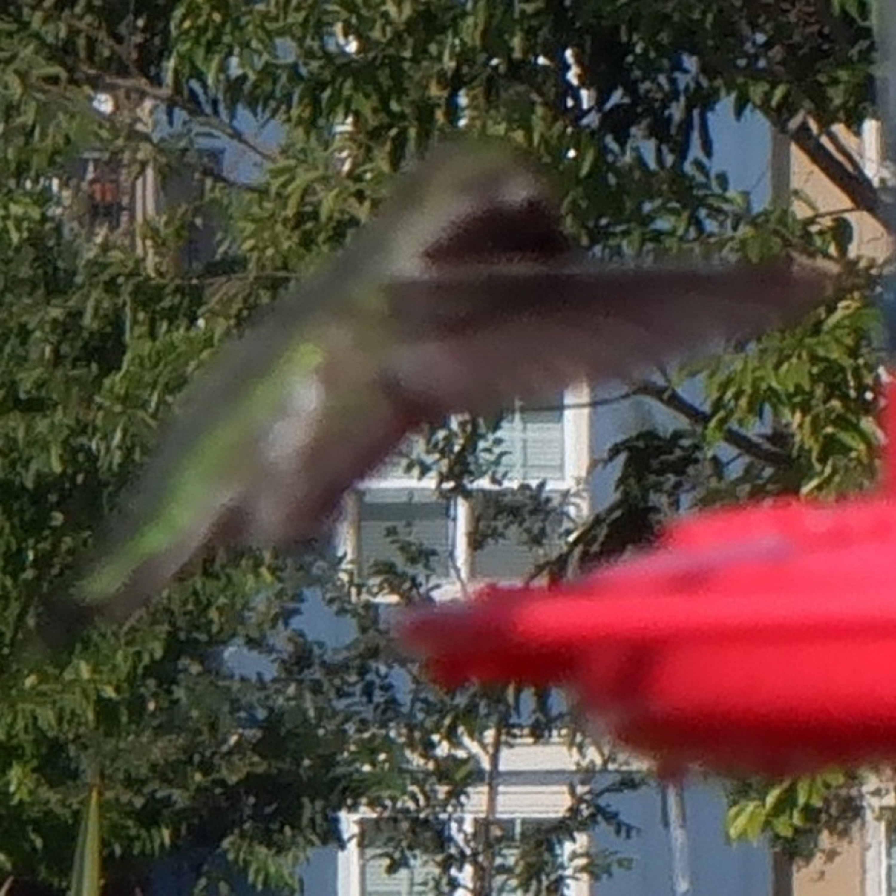 Photo taken by me 8-29-21
