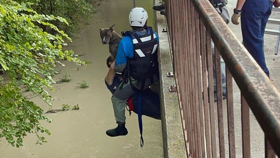 McKinney Firefighters rescue three persons and a dog trapped near a creek McKinney Firefighters rescue three persons and a dog trapped near a creek