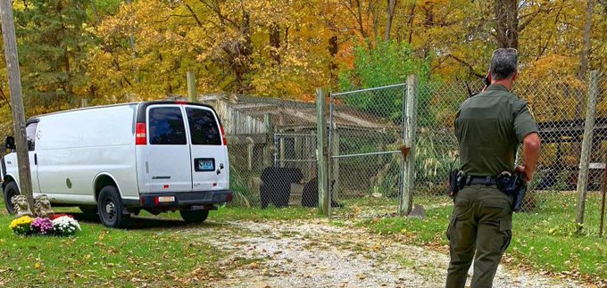 Law enforcement officers outside of a home where two bears were trying to leave Law enforcement officers outside of a home where two bears were trying to leave