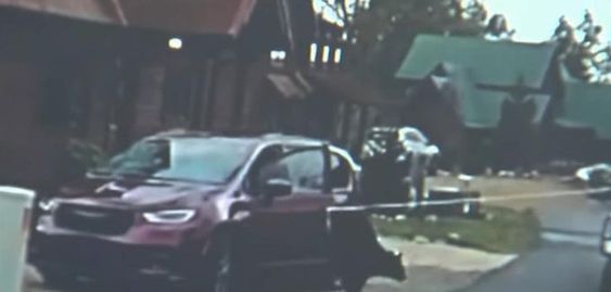 Police using a rope to rescue three bears trapped inside of a minivan. Police using a rope to rescue three bears trapped inside of a minivan.