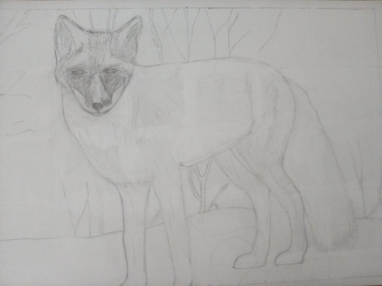 Adjusted fox sketch. Adjusted fox sketch.