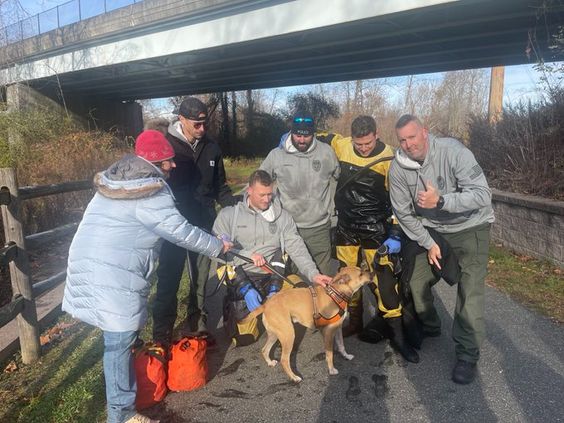 A dive team in Connecticut rescues a dog from a river / myLot