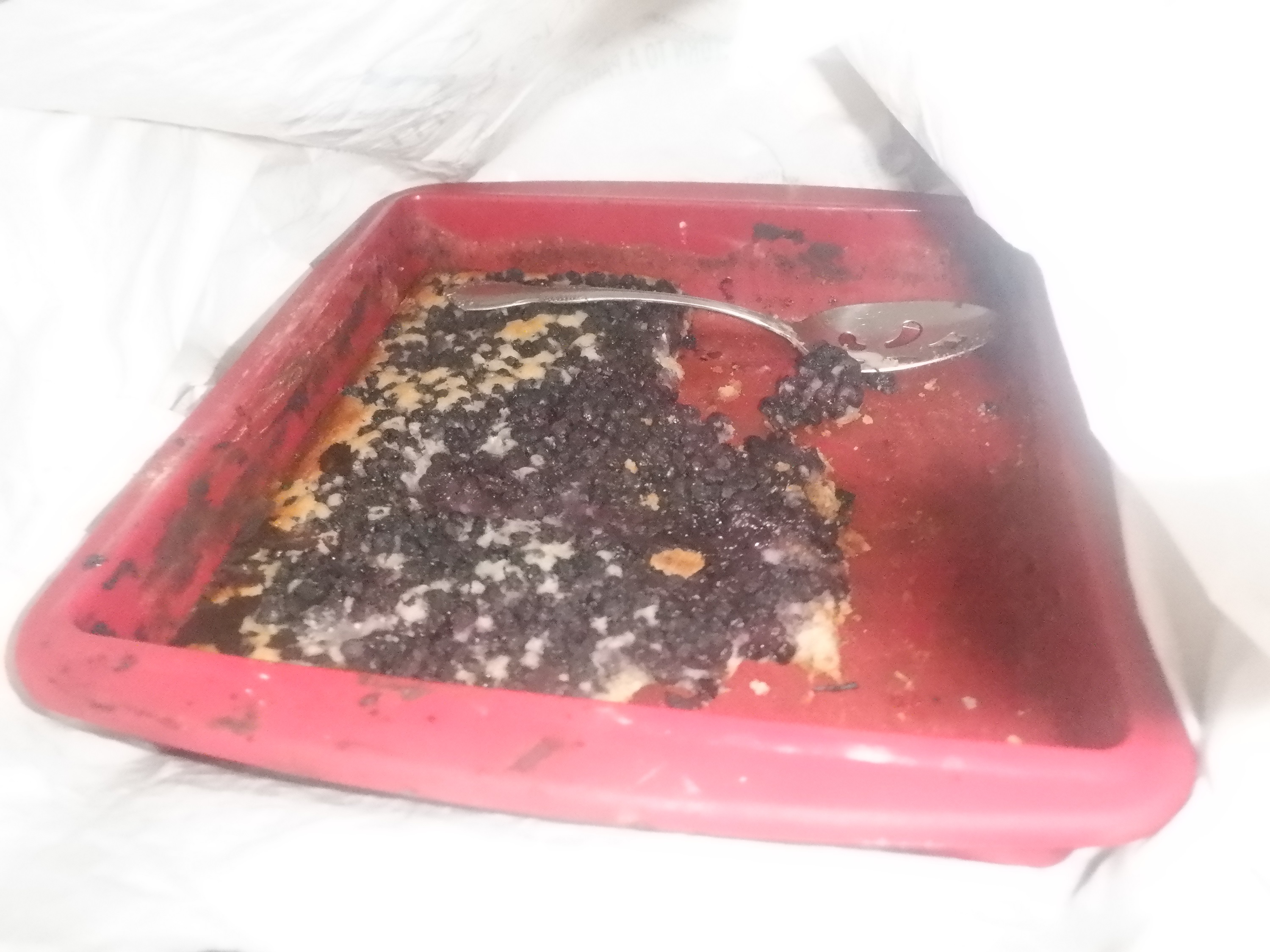Photo I took of the cobbler after I brought it home Photo I took of the cobbler after I brought it home
