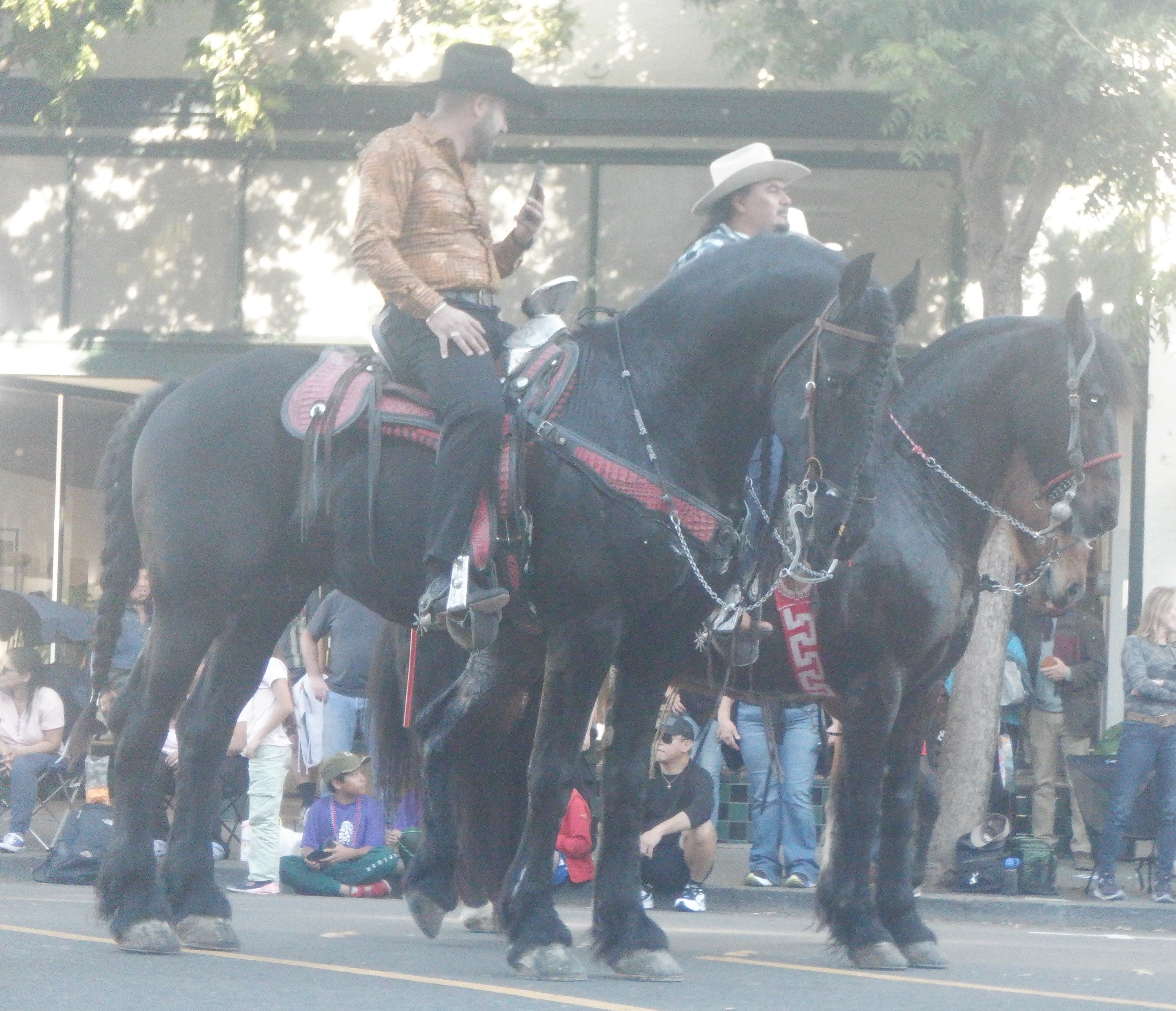 Photo from Vets day parade 11-11-23