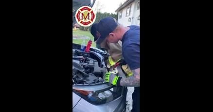 A firefighter rescues a cat in Montana who was trapped inside of an auto engine