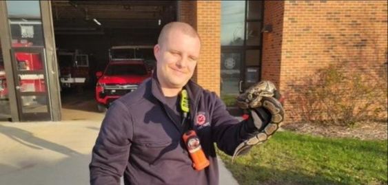 Firefighter Connor Goetzinger with a snake he rescued last Saturday in Wisconsin Firefighter Connor Goetzinger with a snake he rescued last Saturday in Wisconsin