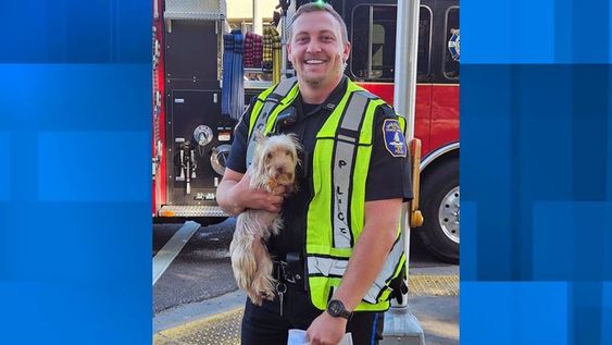 Officer Dahlen rescued a dog that was seen running on a road in South Carolina