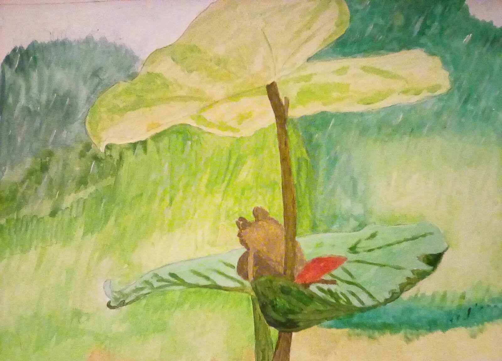 The finished frog painting. 