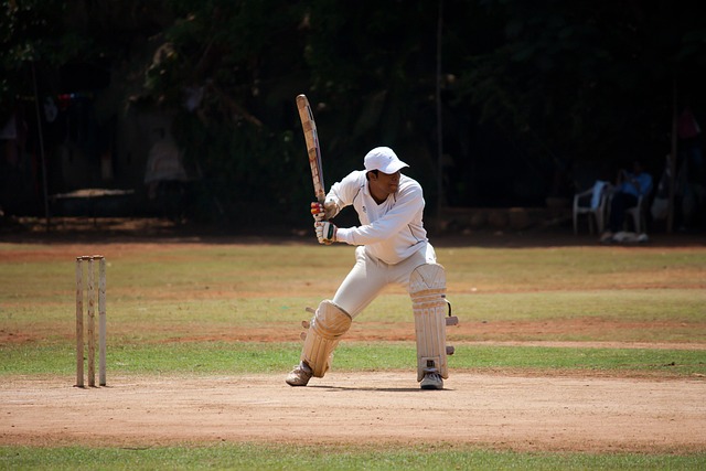 Cricket Pixabay Image