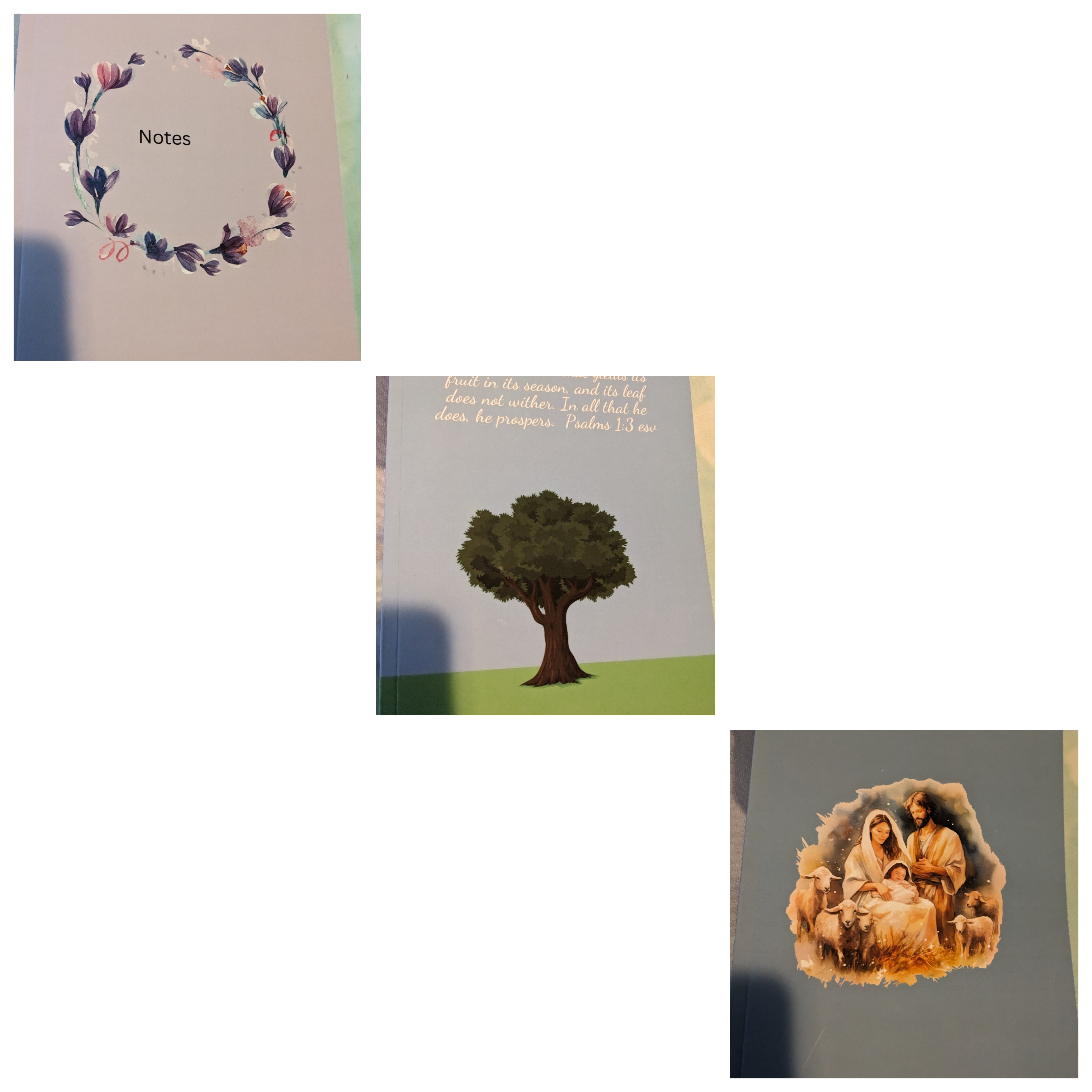Three other journals on Amazon