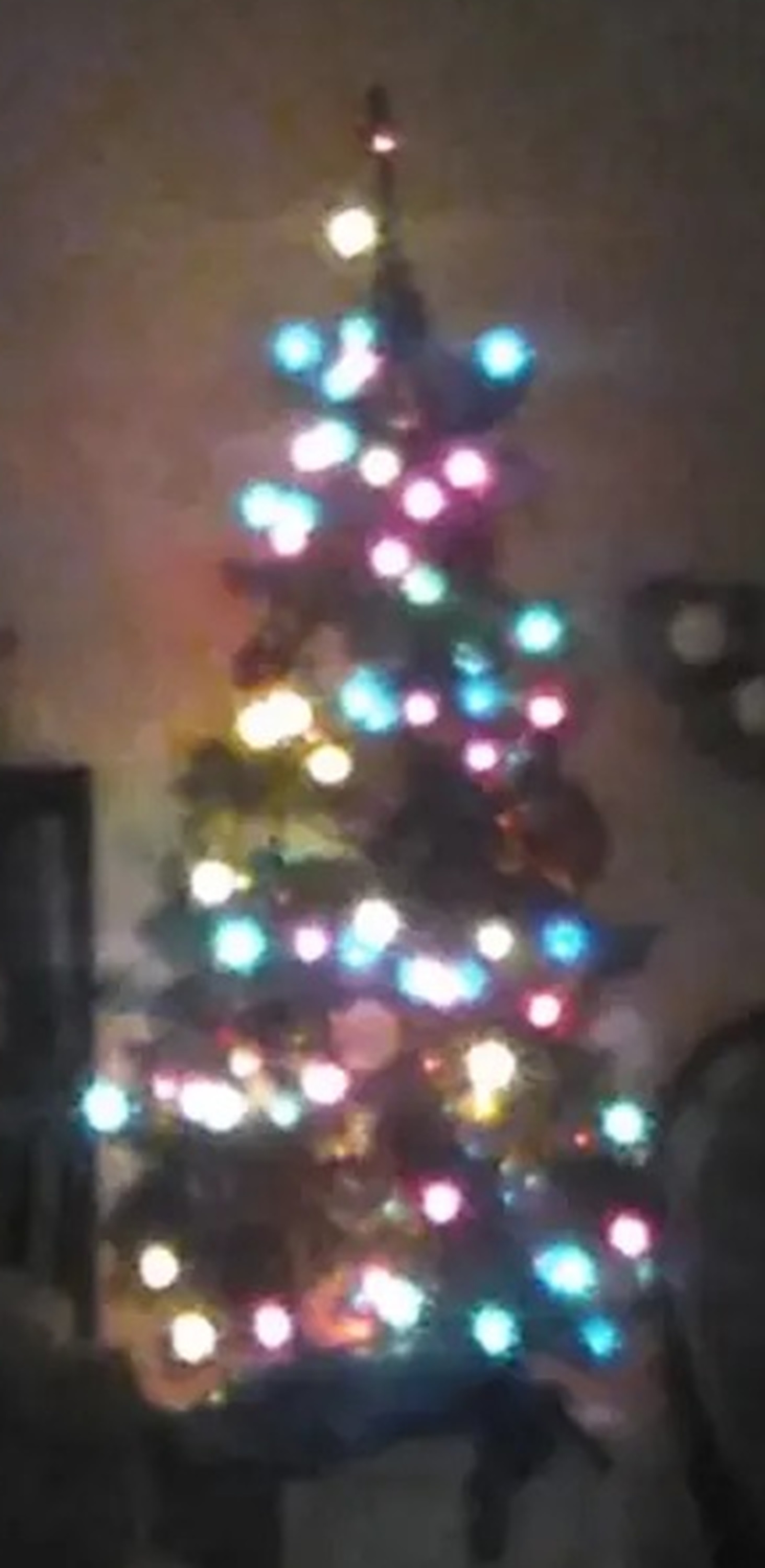 Photo I tried to take of the tree Photo I tried to take of the tree