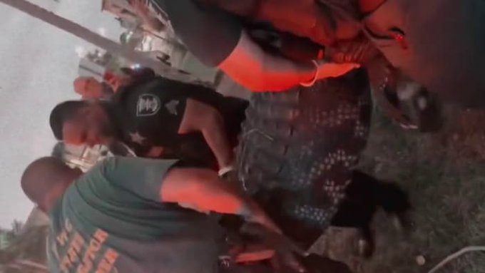 Authorities in Estero Florida remove a huge alligator who entered a mall Authorities in Estero Florida remove a huge alligator who entered a mall