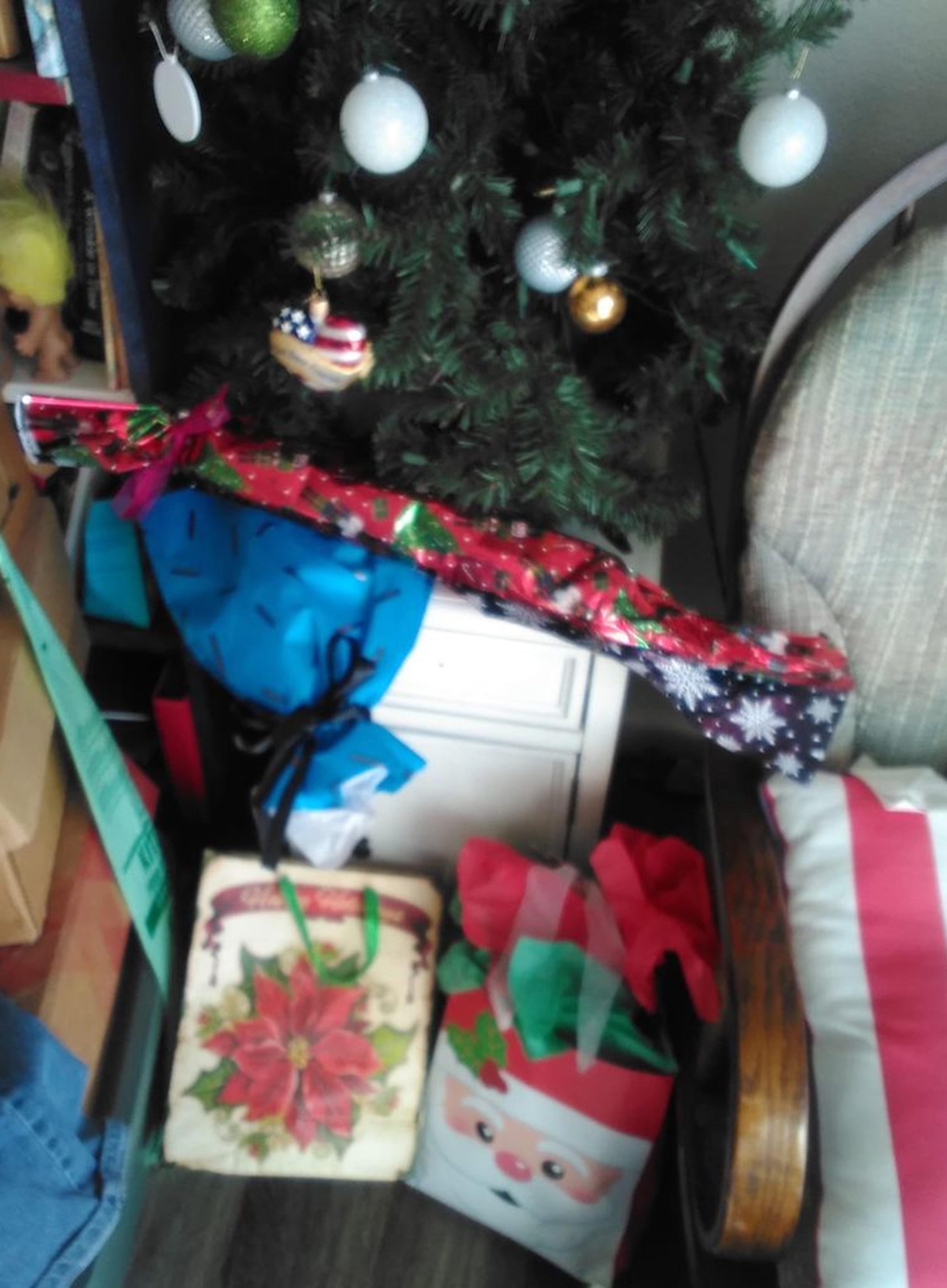 Photo I took of the four goodies under the tree