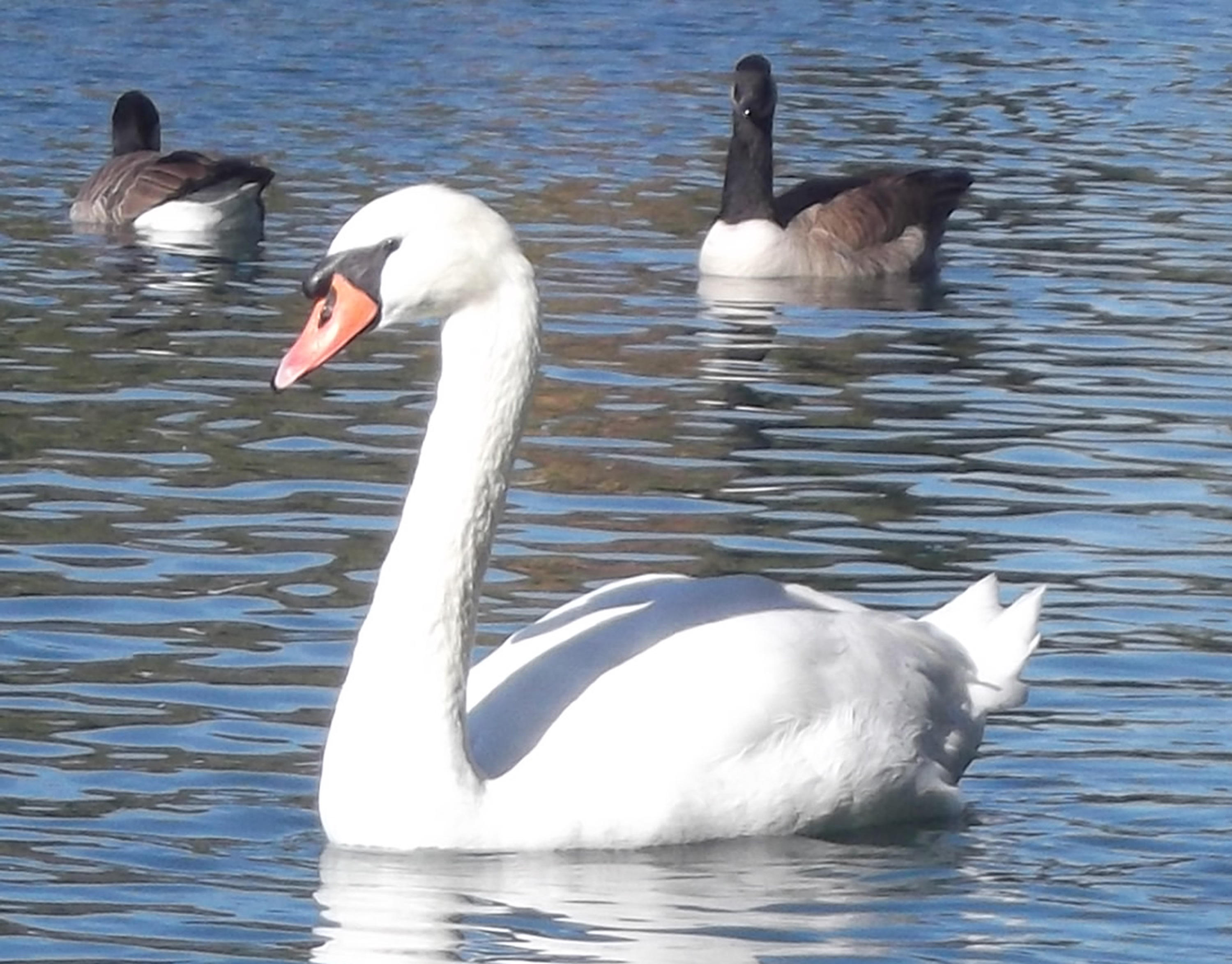 Photo taken by me 11-5-14 Photo taken by me 11-5-14