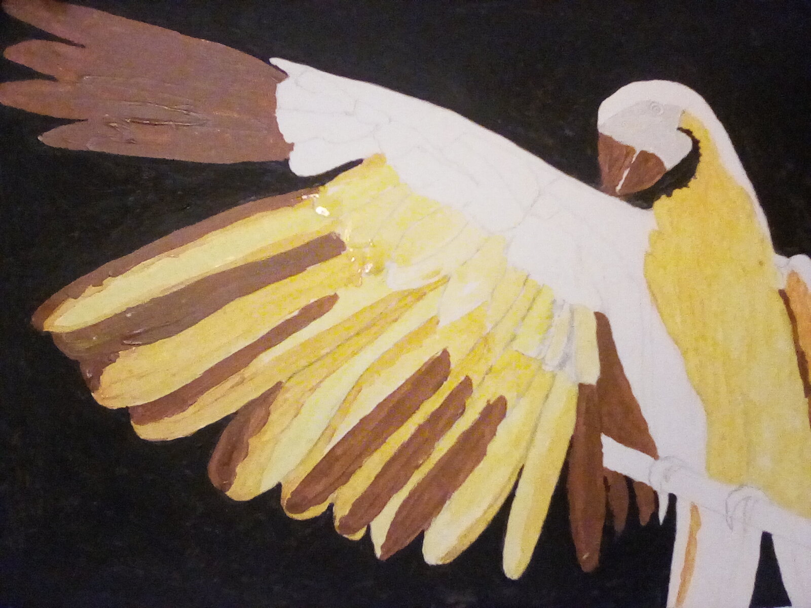 The parrot painting so far.