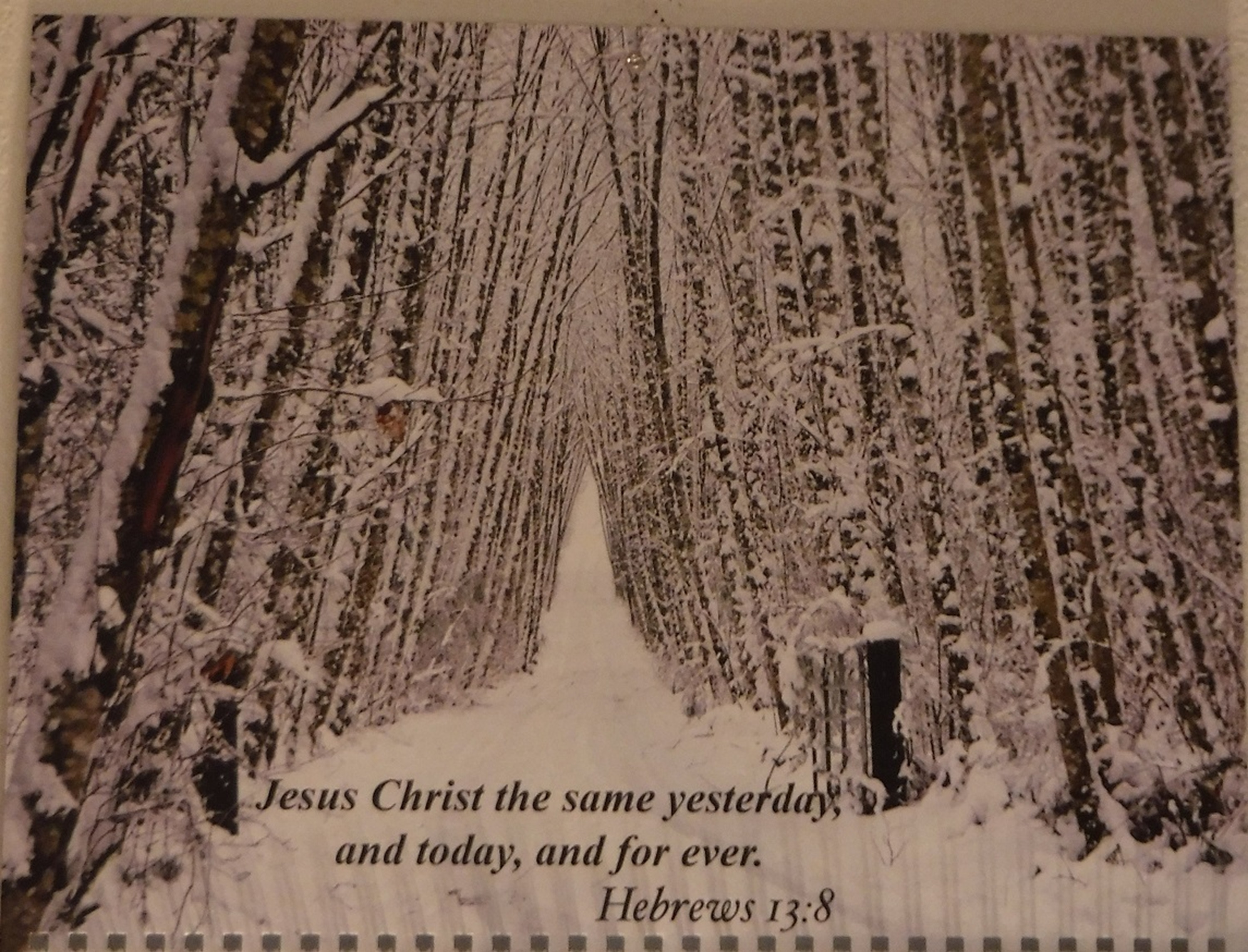 January calendar page from years ago January calendar page from years ago