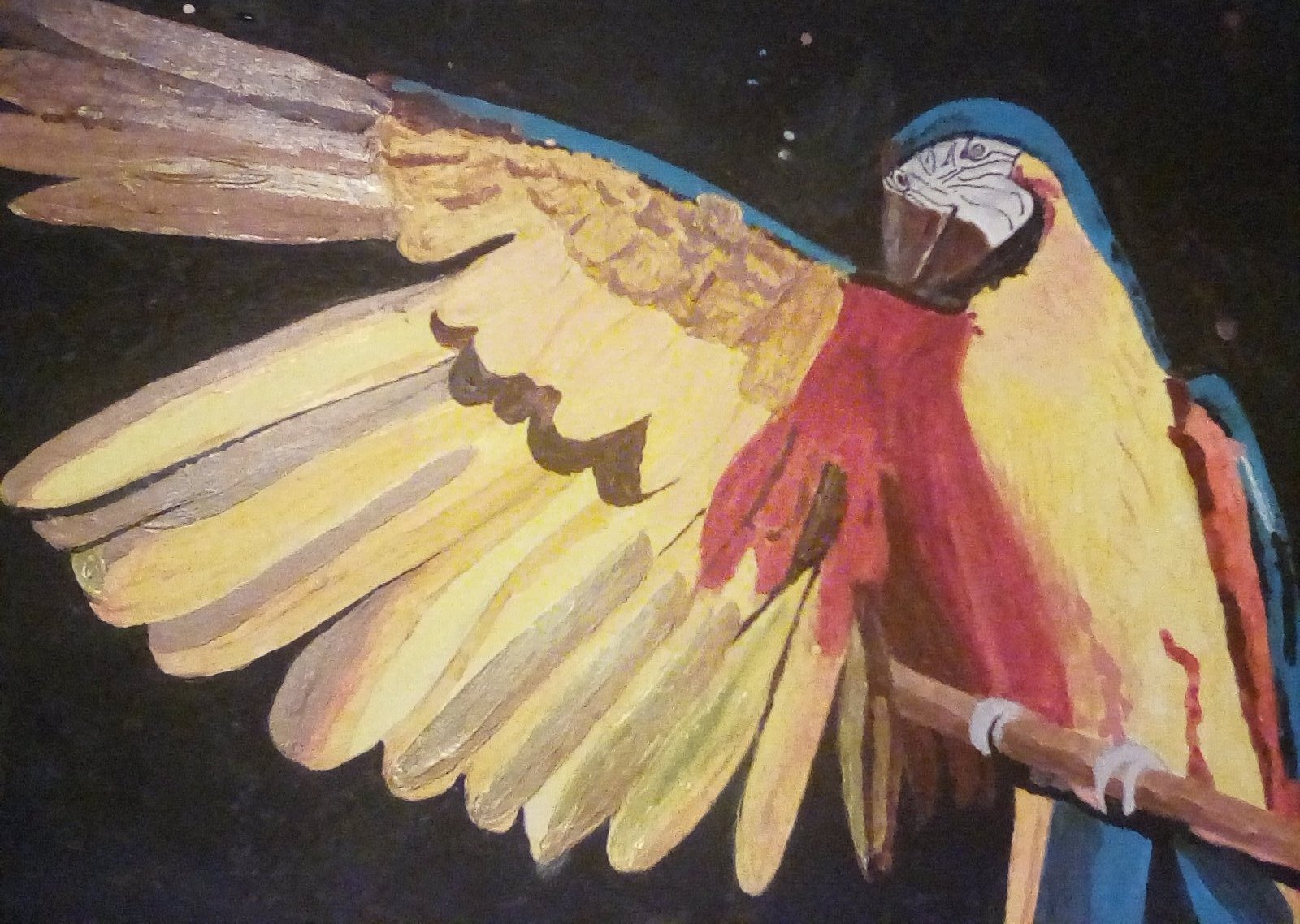 The finished painting of the parrot.
