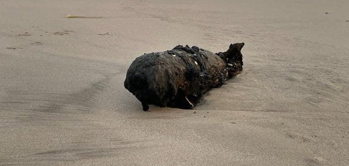 A dummy bomb washes up on a beach in California A dummy bomb washes up on a beach in California
