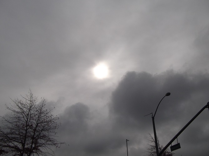 Photo taken by me 11-21-14 Photo taken by me 11-21-14