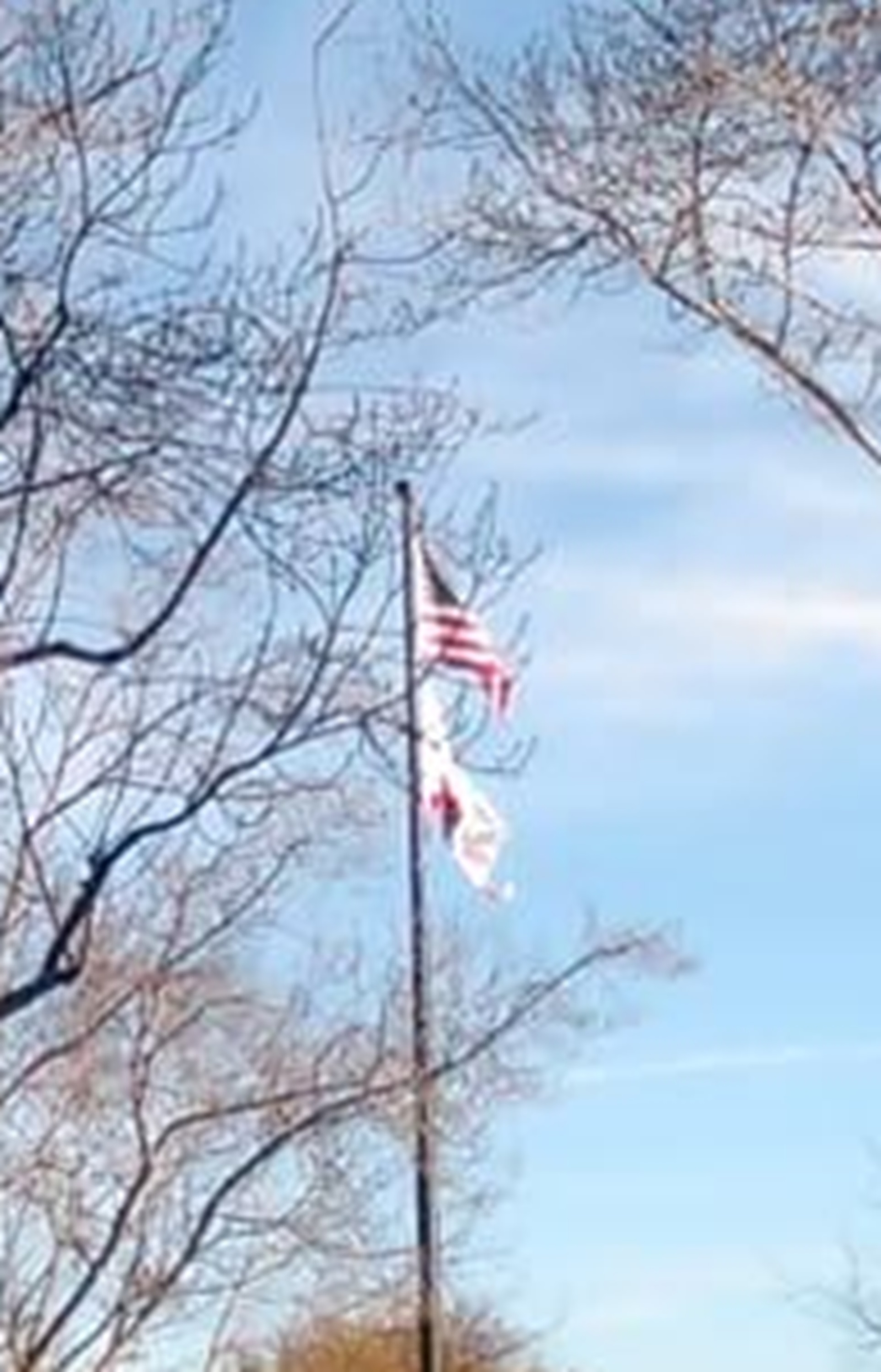 Photo taken by me 1-4-23 and cropped