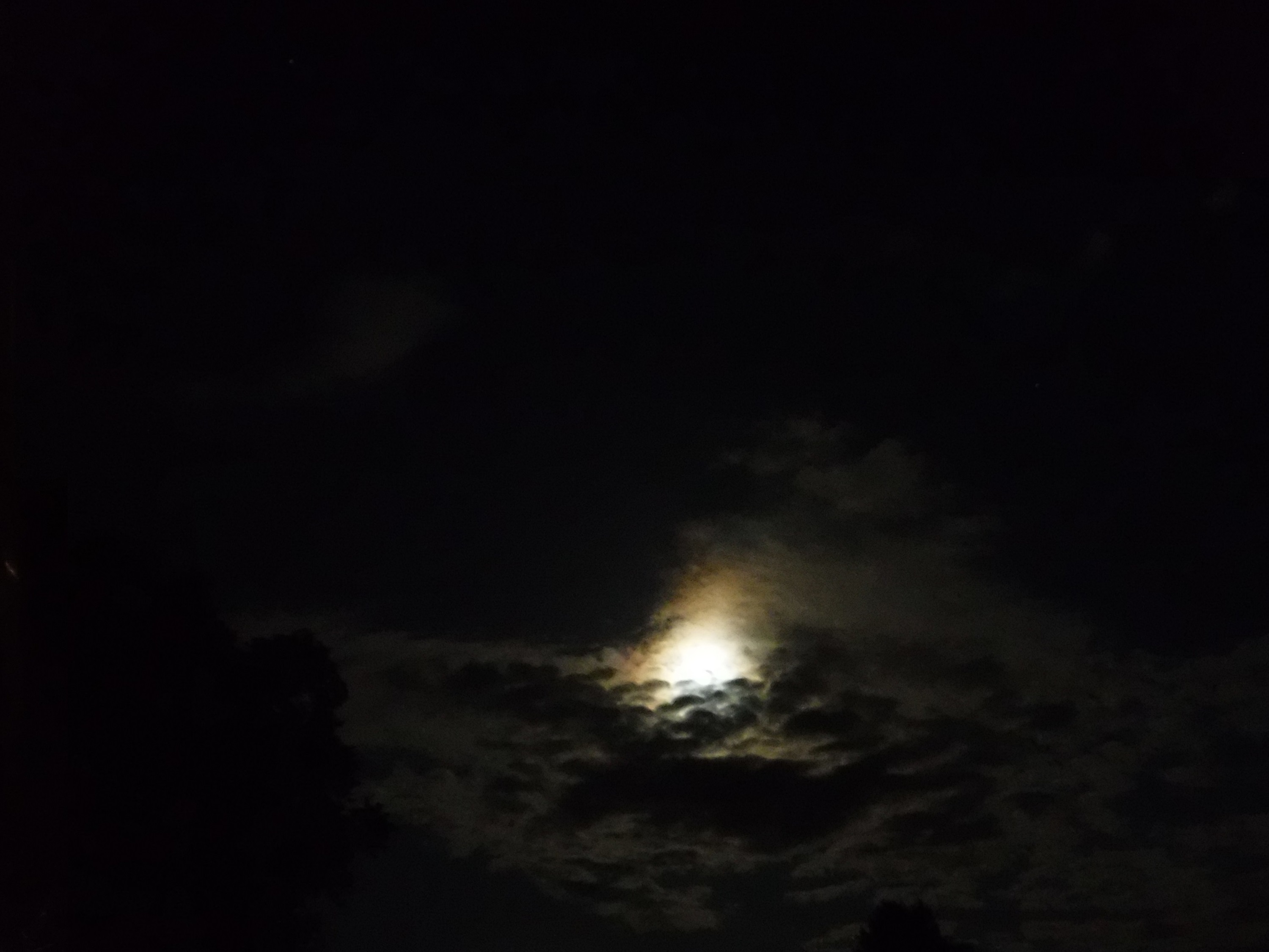 Photo taken by me 4-29-18 Photo taken by me 4-29-18