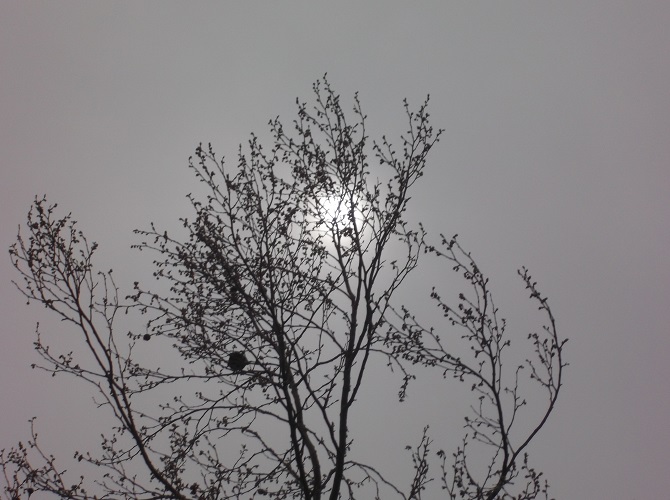 Photo taken by me 2016 Photo taken by me 2016