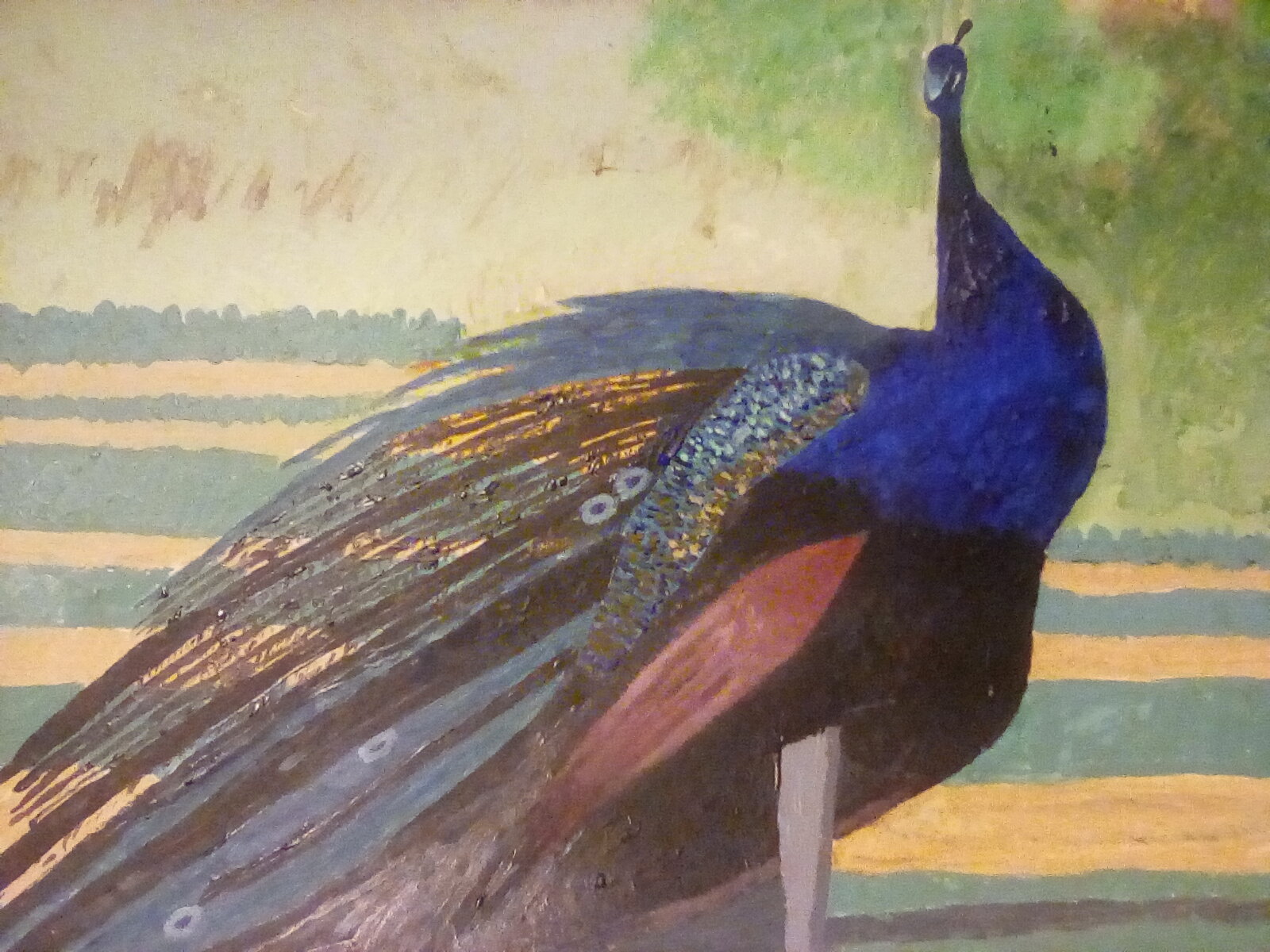 Finished painting of the peacock