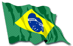 Brazil flag.. - flag of the brazil