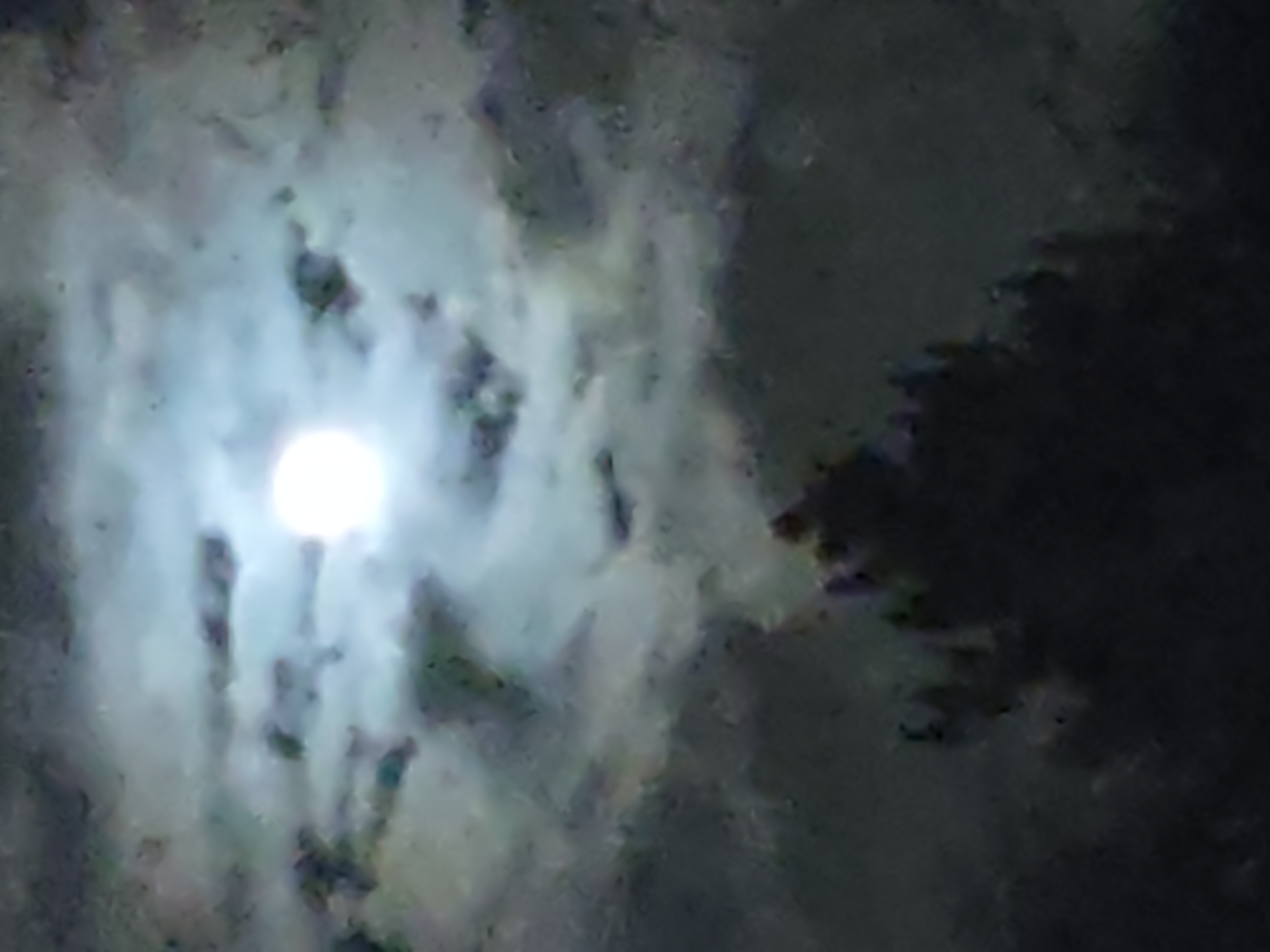 God's handiwork shot by me God's handiwork shot by me