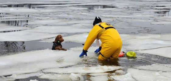 Firefighters in Braintree Massachusetts rescue a dog who fell into an icy river