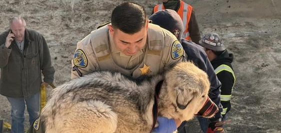 A Tulare County deputy carrying a dog that was inside of a canal A Tulare County deputy carrying a dog that was inside of a canal