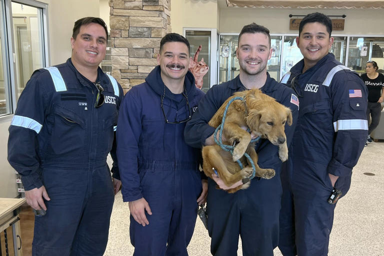 USCG officers rescue a dog that was trapped inside of a container ship in Texas