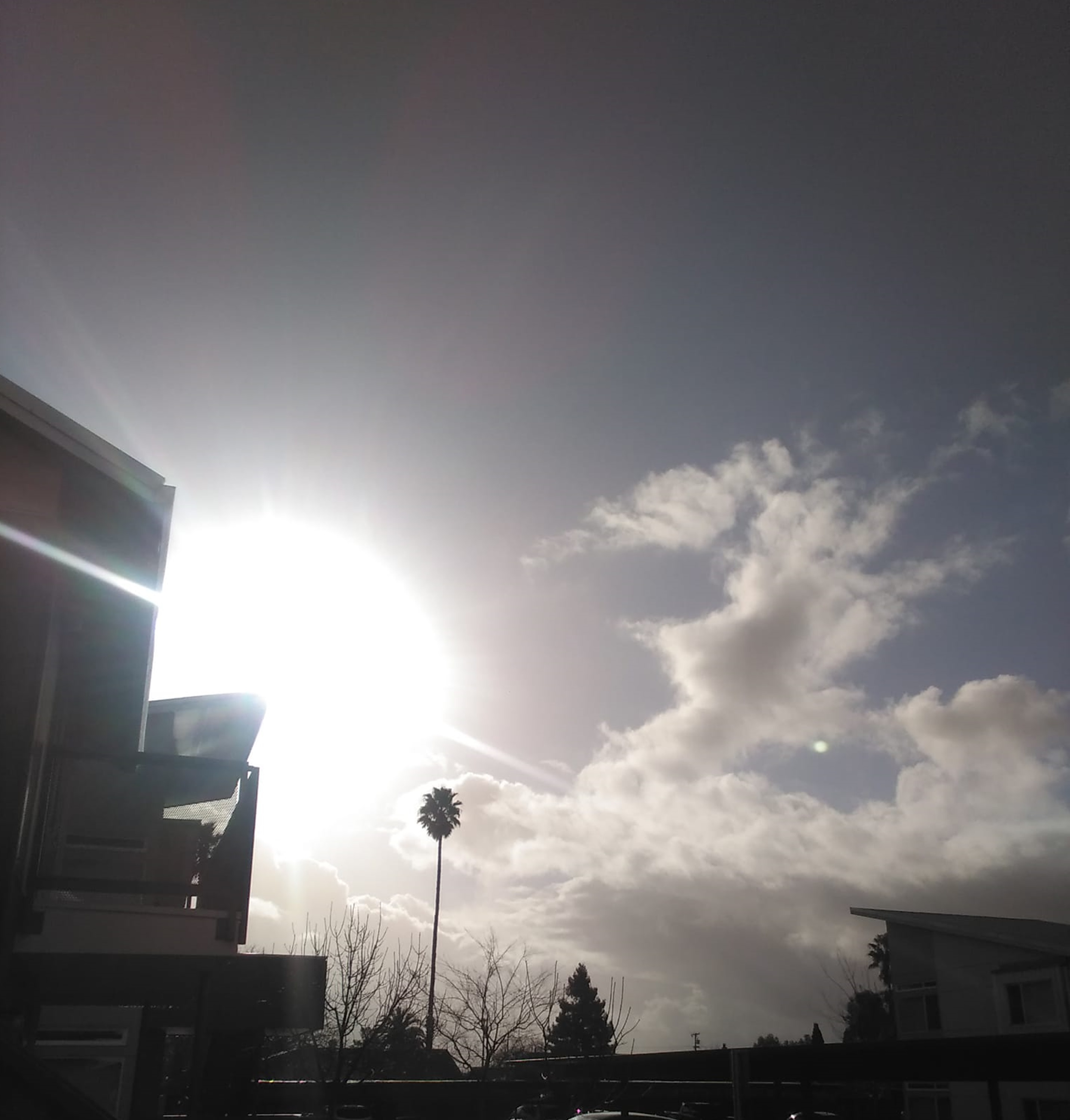 Photo I took to prove the sun was out. Photo I took to prove the sun was out.