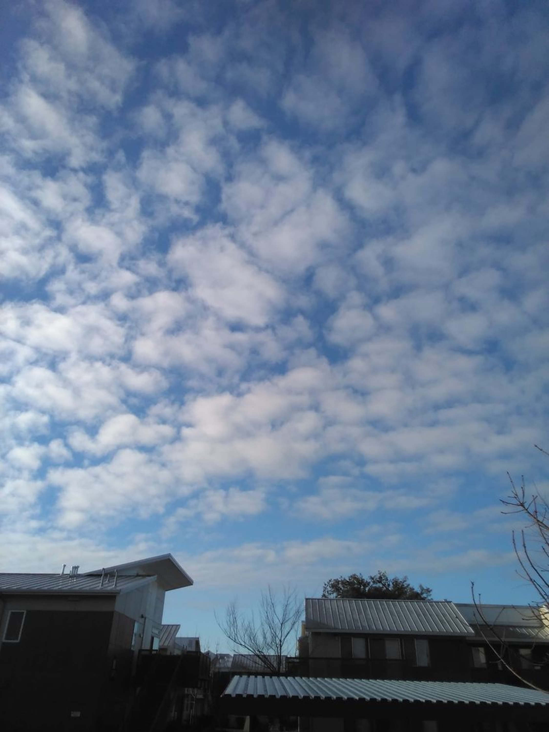 Photo I took of the blue sky to prove it was there Photo I took of the blue sky to prove it was there