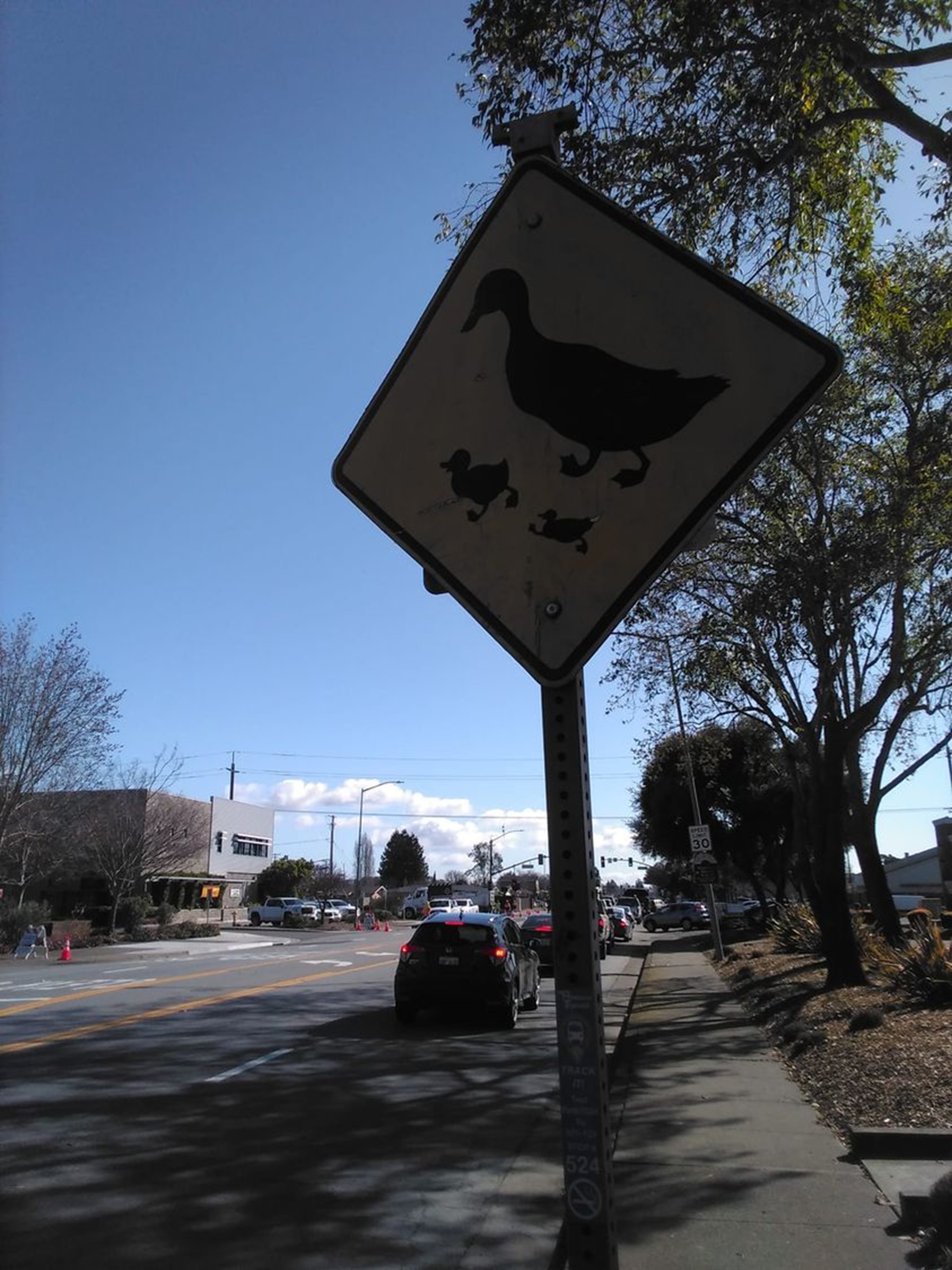 Photo I took on the way home from the food bank Photo I took on the way home from the food bank