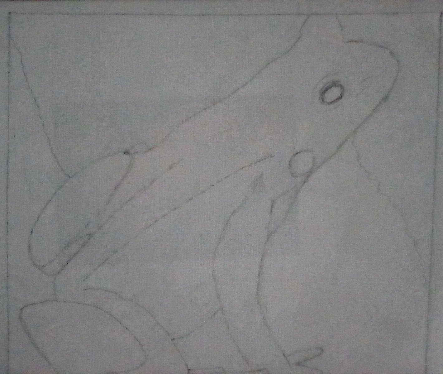The drawing of the frog. The drawing of the frog.