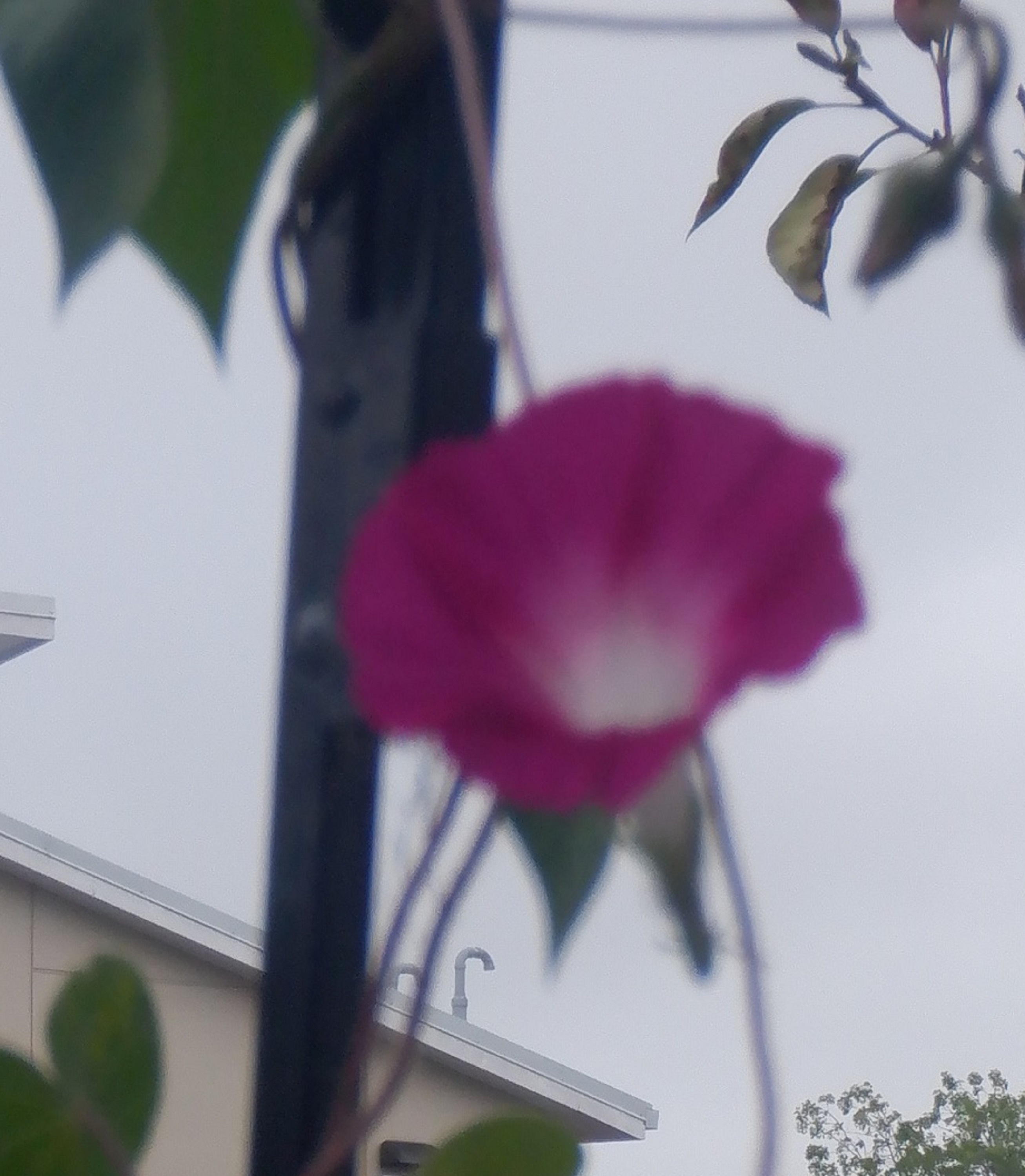 Photo taken by me 8-24-22