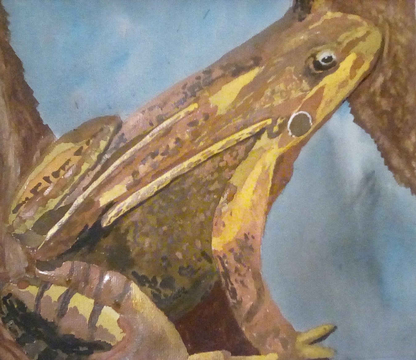 The finished painting of the frog The finished painting of the frog