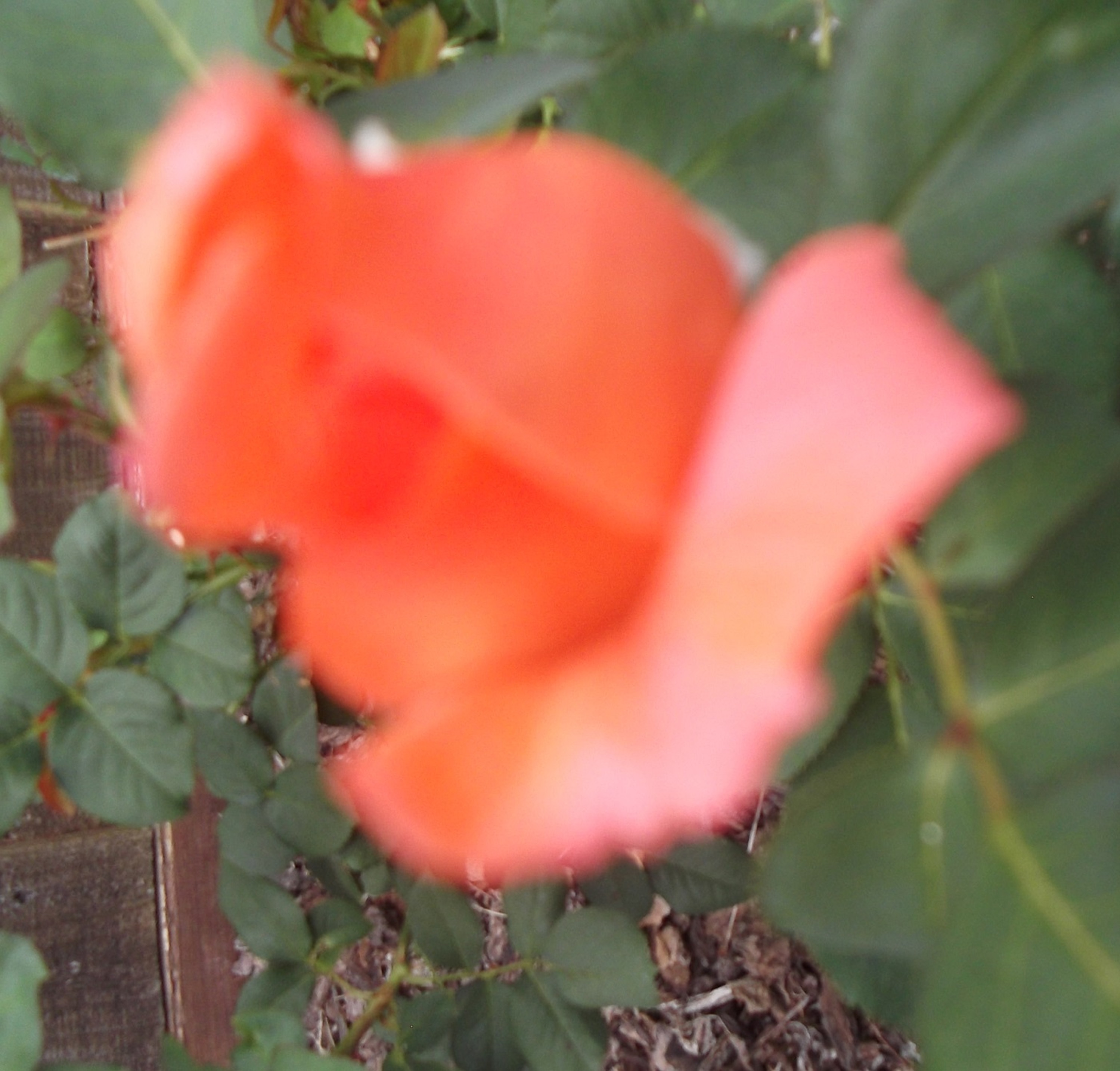 Photo taken by me