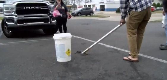 Stranger removes a snake that was inside of an auto in Lafayette Louisiana