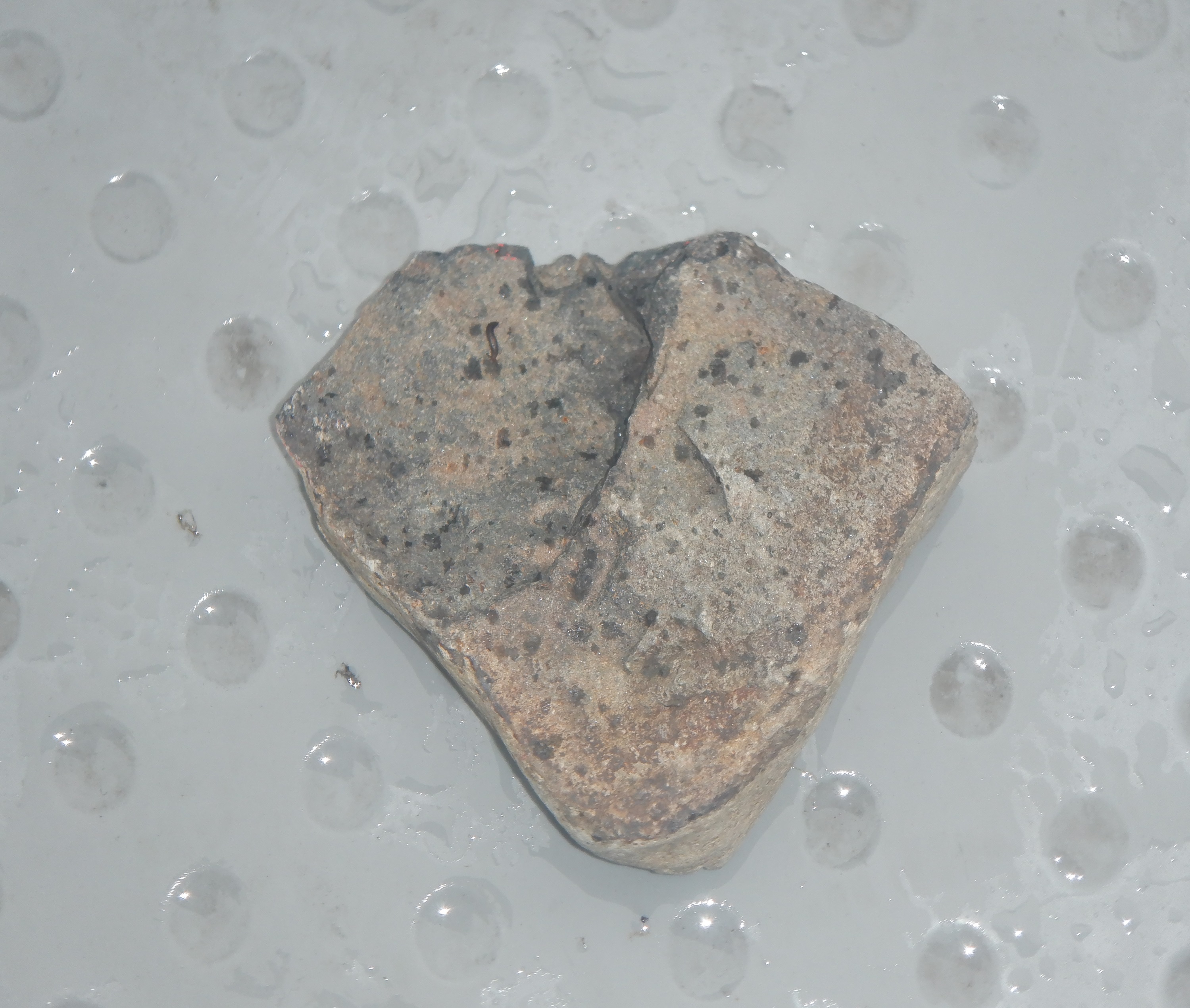 Chunk of concrete/rock I found on the way home today. Chunk of concrete/rock I found on the way home today.