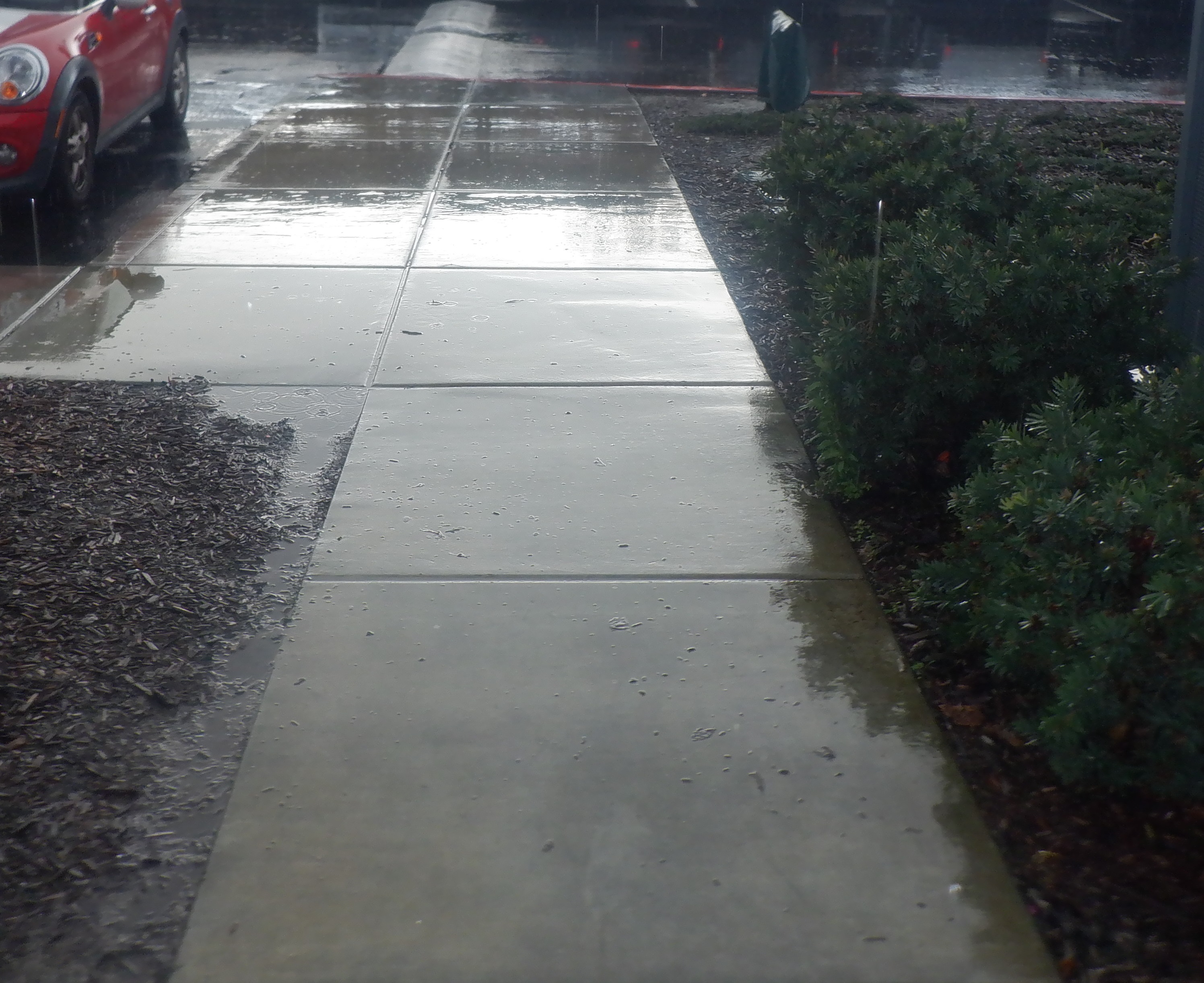 Photo I took walking to church today Photo I took walking to church today