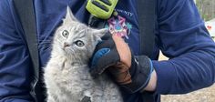 Firefighters in Longs South Carolina rescue a cat trapped inside of an engine compartment.