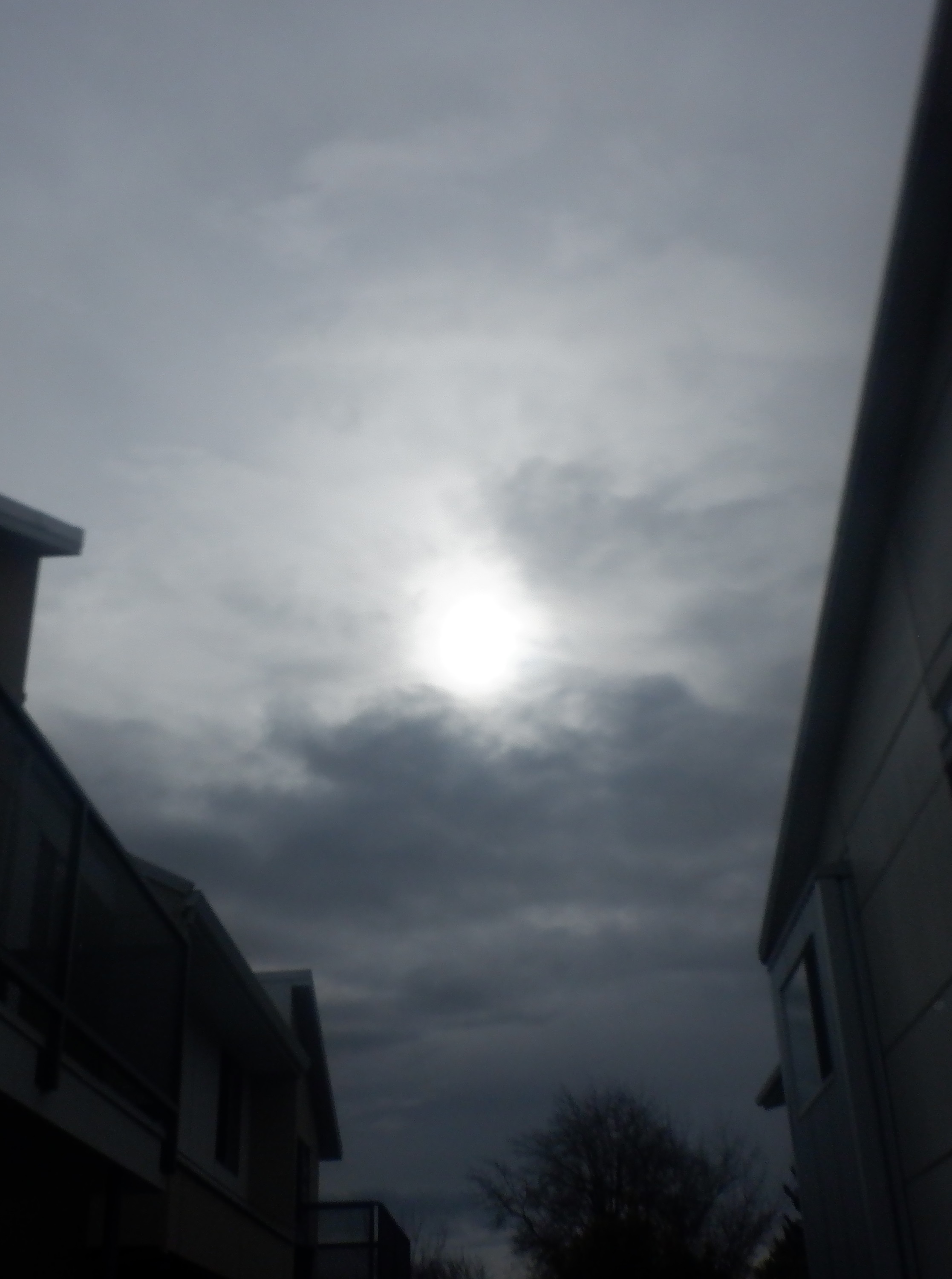 Photo taken by me 3-6-24 Photo taken by me 3-6-24