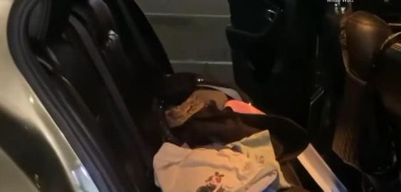 A rattlesnake seen in the back seat of an auto in Arizona A rattlesnake seen in the back seat of an auto in Arizona