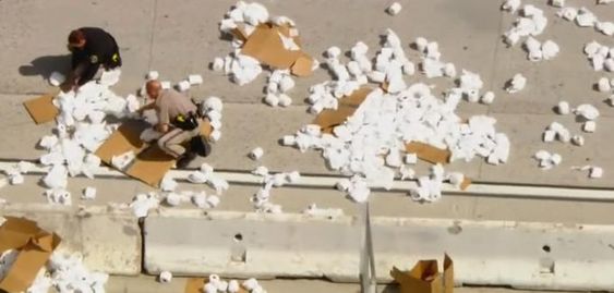 Toilet paper spilled on Interstate 5 in California 