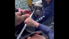 Pelican being rescued by firefighters in Daria Beach Florida.