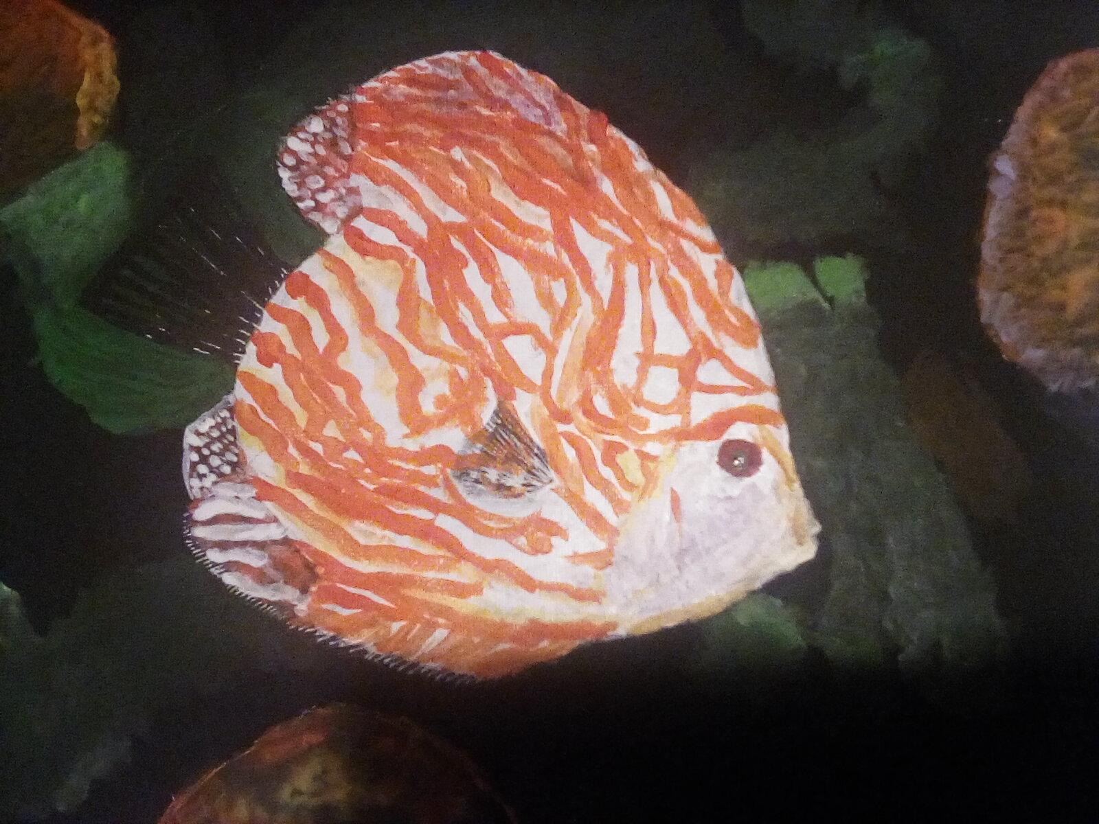 The finished painting of the fish. The finished painting of the fish.