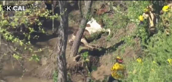 A horse that was trapped in deep mud rescued by LAFD  